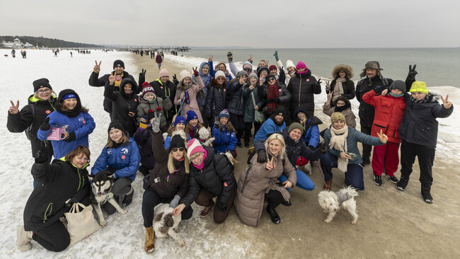 Terapeutyczny spacer z psami ze schroniska Promyk - połączenie aktywności fizycznej , kontaktu z naturą i dobrostanu psychicznego