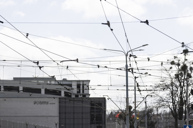 gcm_download_2500_2026_03_31_briefing_siec_trakcyjna_006_9000b2c0