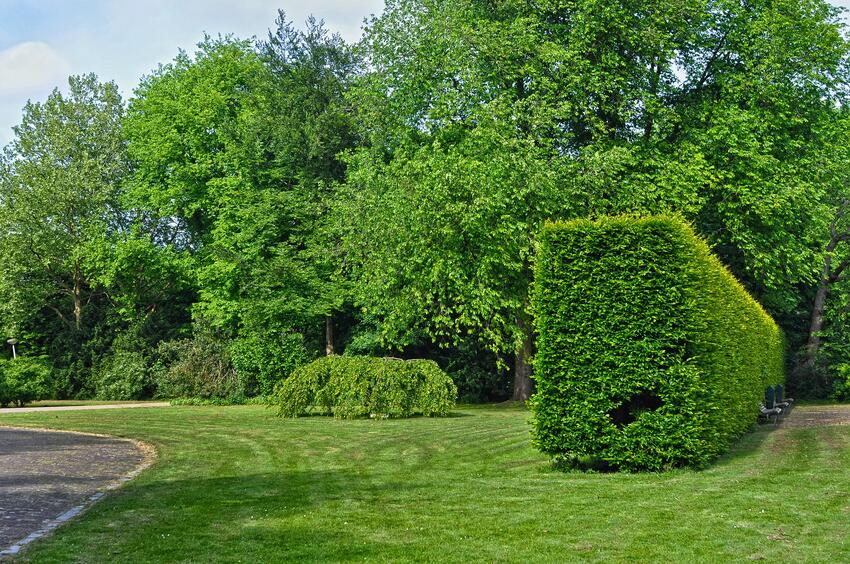 urban-park-3410146_1920