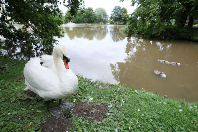Sobota, 16 lipca, około godz. 14.30. Zbiornik retencyjny - Grunwaldzka
