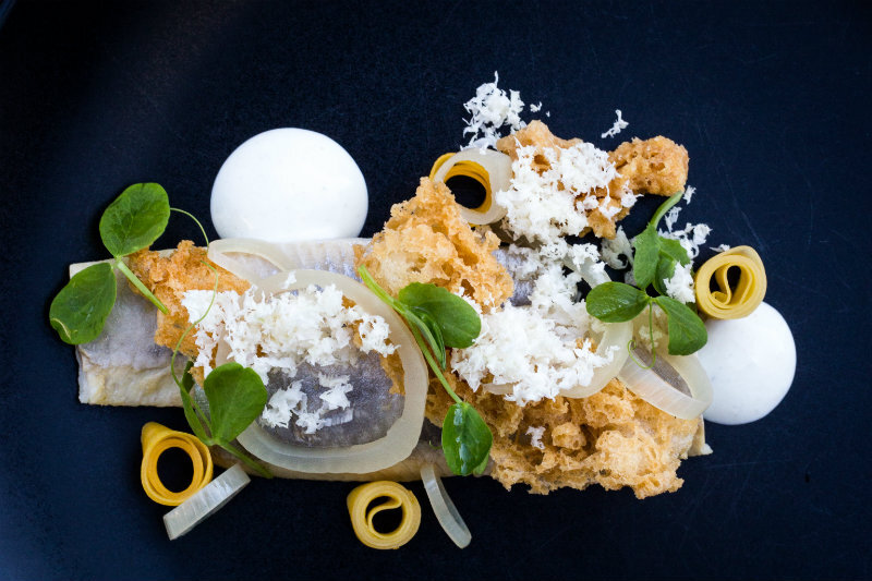 Gdańska Przystawka według restauracji Eliksir: Filet ze śledzia bałtyckiego na chrupiąco