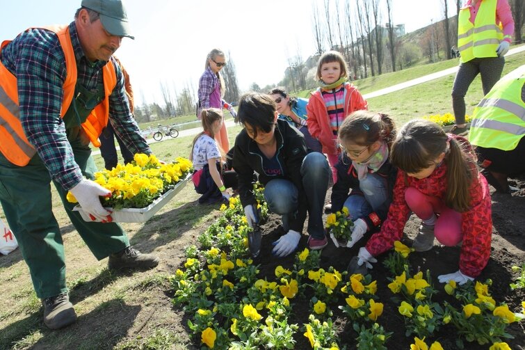 Nie tylko sprzątanie, ale też sadzenie kwiatów. Dzieci i młodzież - mile widziani