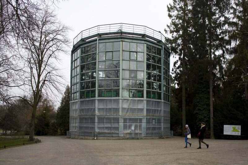 W 2017 roku planowana jest realizacja pierwszego etapu rewitalizacji i przebudowy kompleksu palmiarni