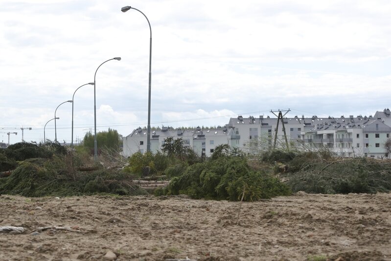 By móc rozpocząć prace budowlane trzeba wcześniej oczyścić teren, a także usunąć kilka drzew. Nasadzenia zastępcze zaplanowano m.in. w Pasie Nadmorskim