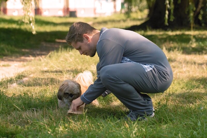 Sprzątanie po psie, to nie jest trudna sprawa