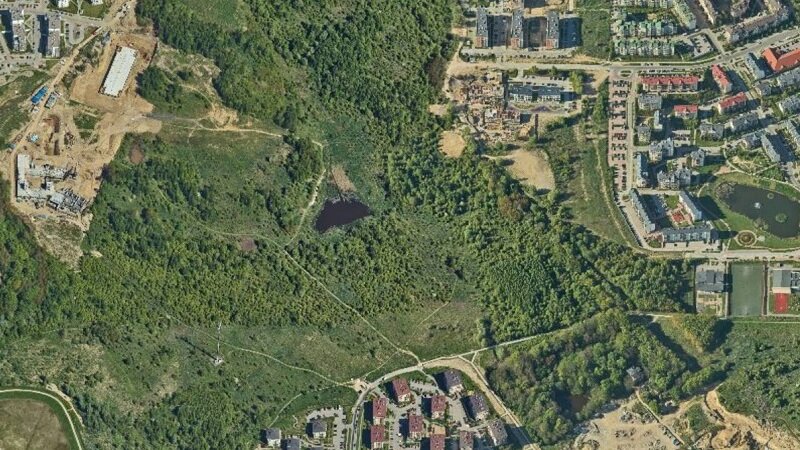 Zakoniczyn - obszar objęty projektem planu jest obecnie niezagospodarowany