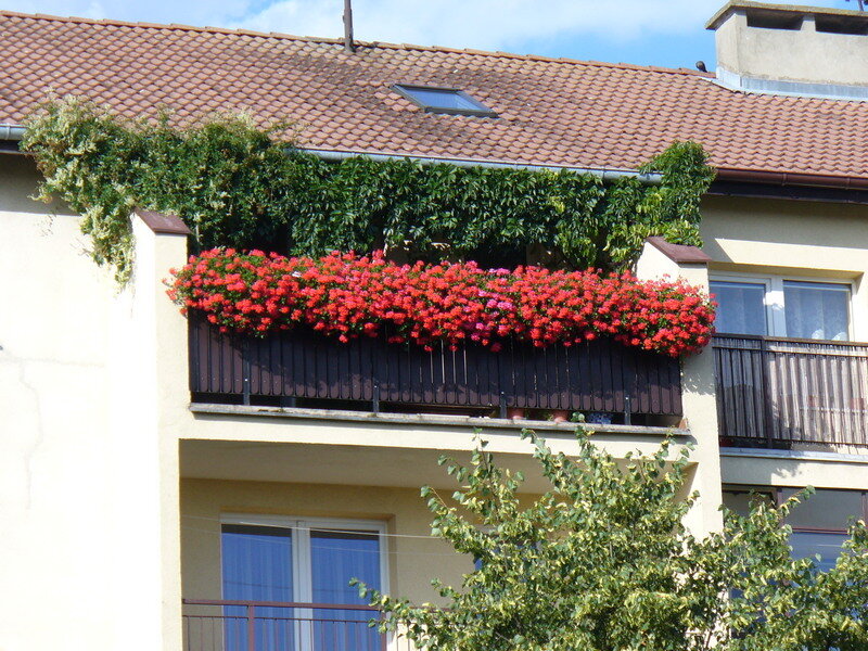 Najpiękniejszy gdański balkon 2019 - dzieło Ewy Maciejewskiej