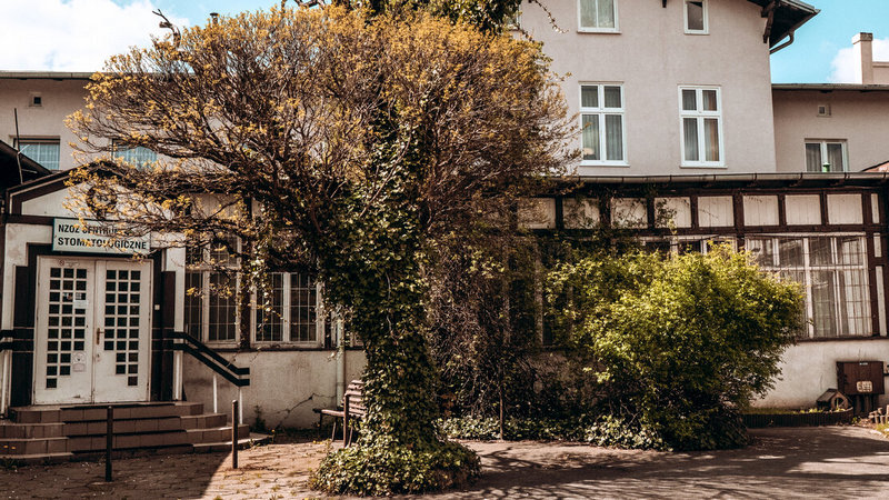 Na zdjęciu budynek, w środku schody prowadzące do drzwi wejściowych. Przed budynkiem stoją (rosną) drzewo i krzew 