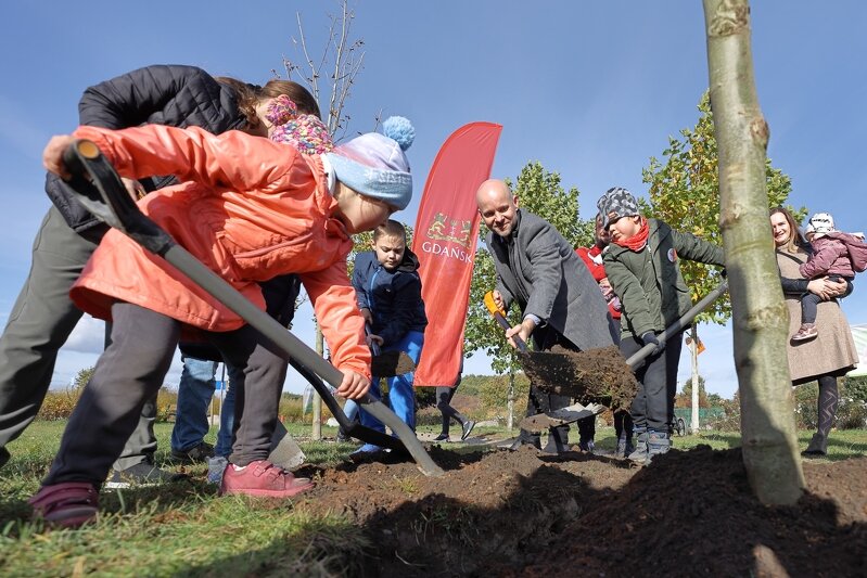dorośli i dzieci sadzą drzewa