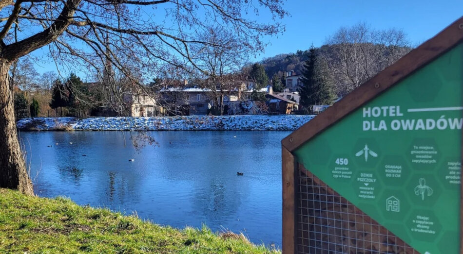 na pierwszym planie tablica z napisem hotel dla owadów, w tle duży staw miejski, widać ośnieżony przeciwległy brzeg