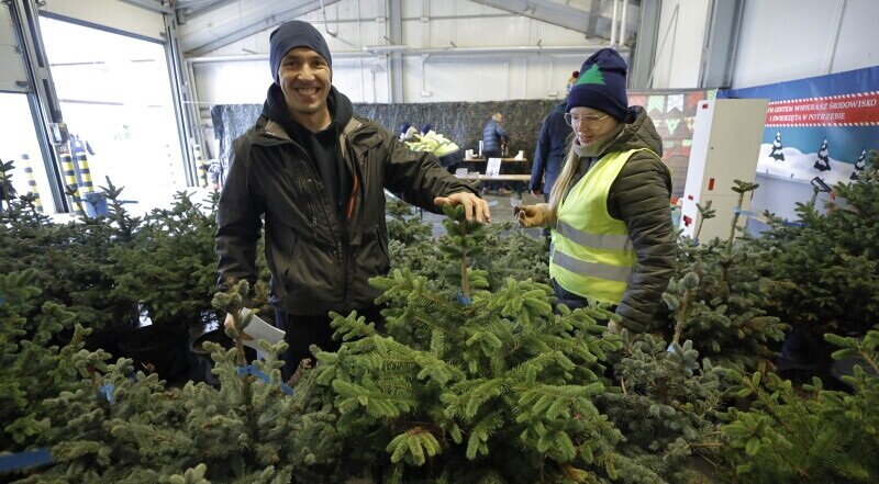 Kobieta i mężczyzna stoją wśród świerków w donicach