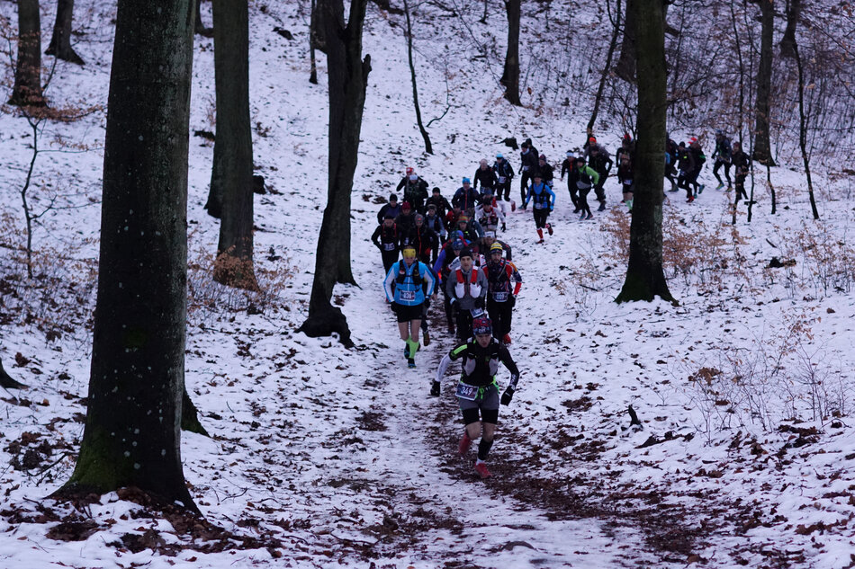 Grupa ludzi w kolorowych strojach zbiegają z górki ścieżką w lesie. Na ziemi widać białą poświatę śniegu.