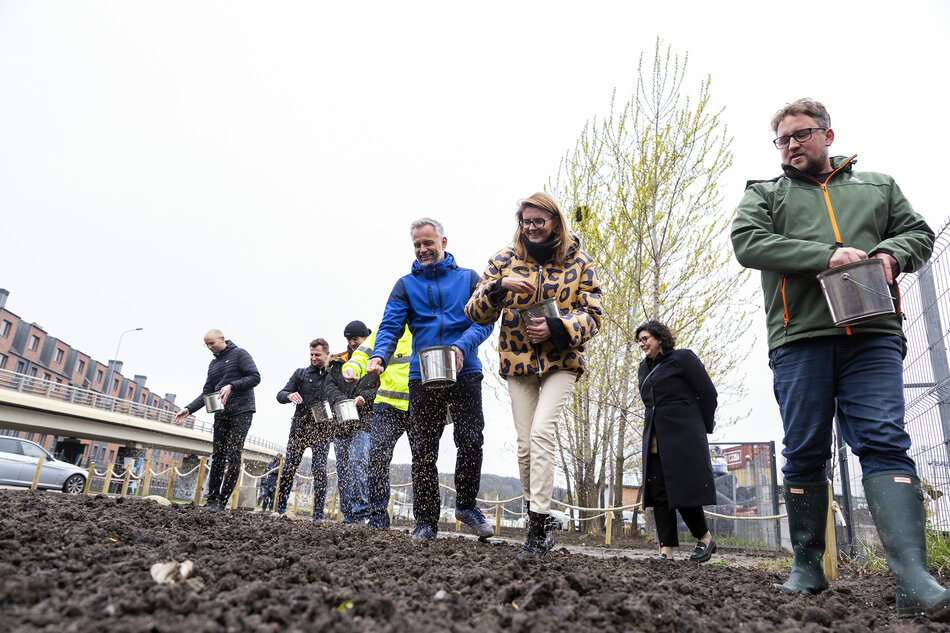 2024-04-04_sianie_laki_kwietnej_stocznia_003