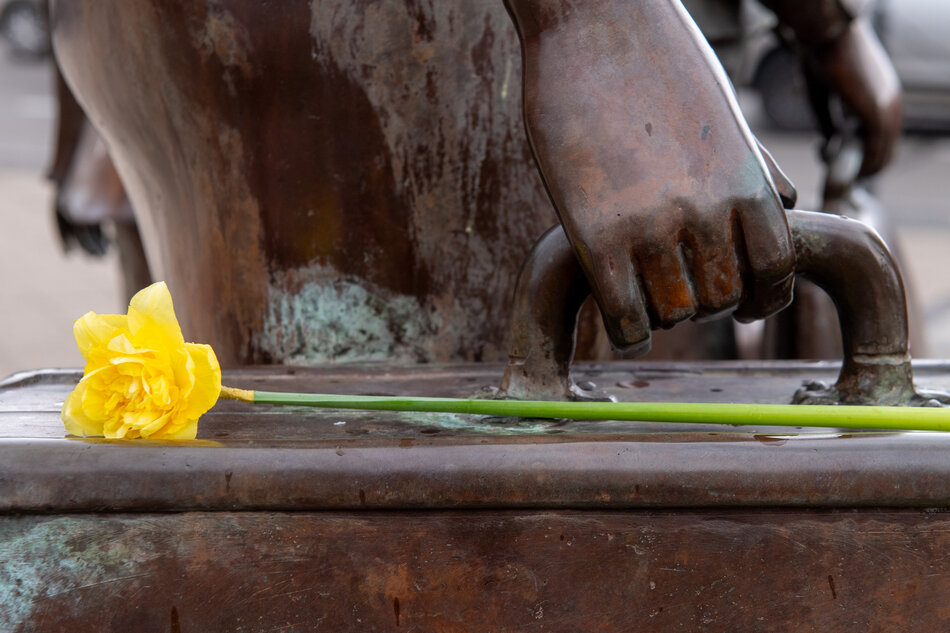 Żółty kwiat z zieloną łodygą leży u stóp pomnika