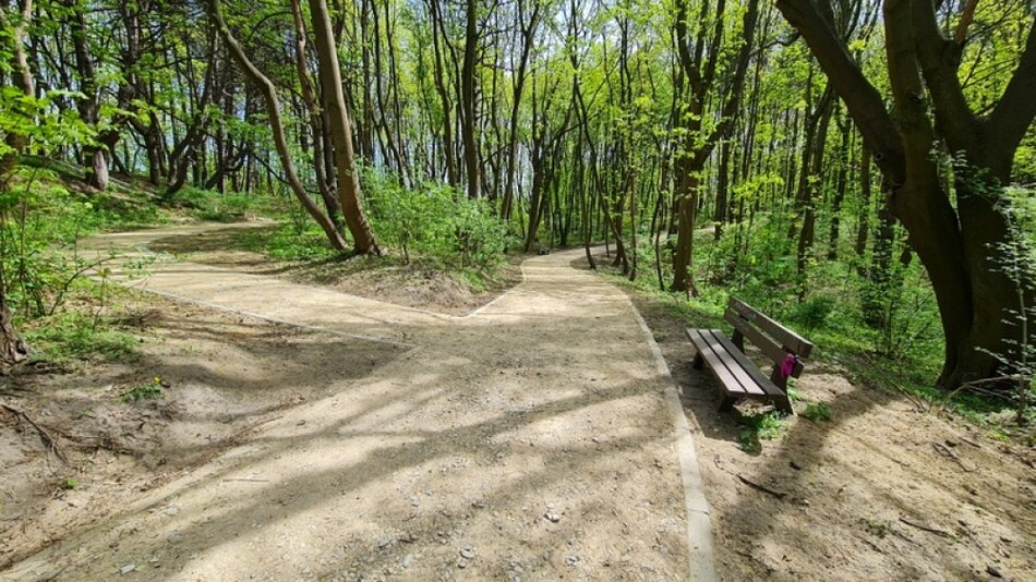 Na zdjęciu widać ścieżki w lesie, prawdopodobnie w parku lub rezerwacie przyrody. Jest tu kilka dróg: jedna główna, szersza i wydaje się być bardziej utwardzona, biegnie wzdłuż zdjęcia, i dwie mniejsze ścieżki, które odchodzą w lewo, w głąb lasu. Po prawej stronie zdjęcia jest ławka skierowana w stronę słońca, która jest pusta oprócz małego, różowego przedmiotu na jednym z końców siedziska. Drzewa mają młode, zielone liście, co sugeruje, że jest wiosna. Słońce przebija się przez listowie, tworząc cienie na ziemi. 