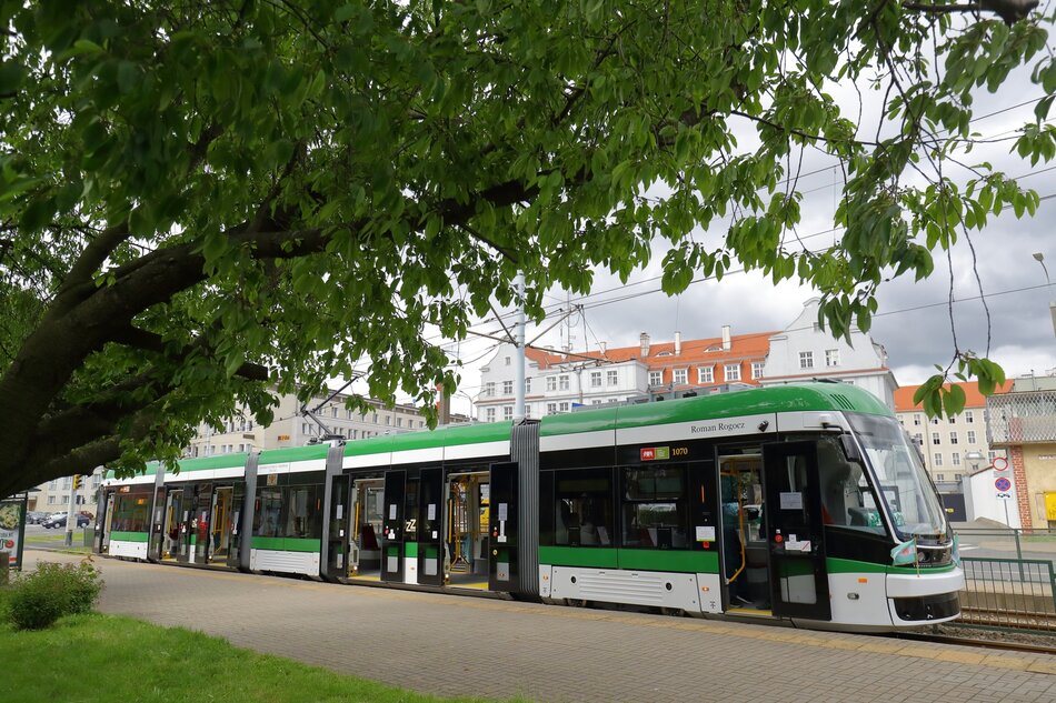 Tramwaj pomalowany na biało-zielono stoi na przystanku. Na pierwszym planie rozłożysta gałęź drzewa z zielonymi liśćmi. Za tramwajem, w tle, budynki miasta.