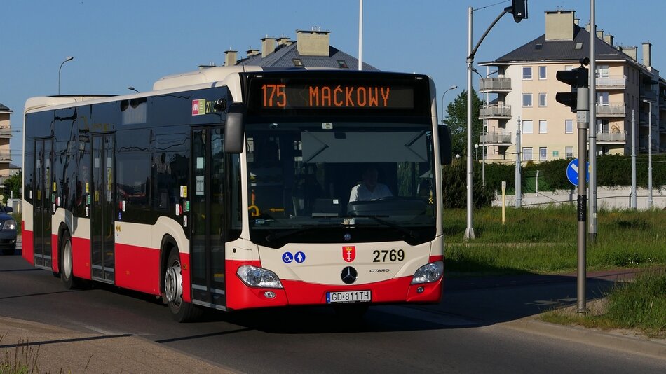 Czerwony autobus, nad szybą kierowcy wyświetlacz, na nim napis: 175 Maćkowy