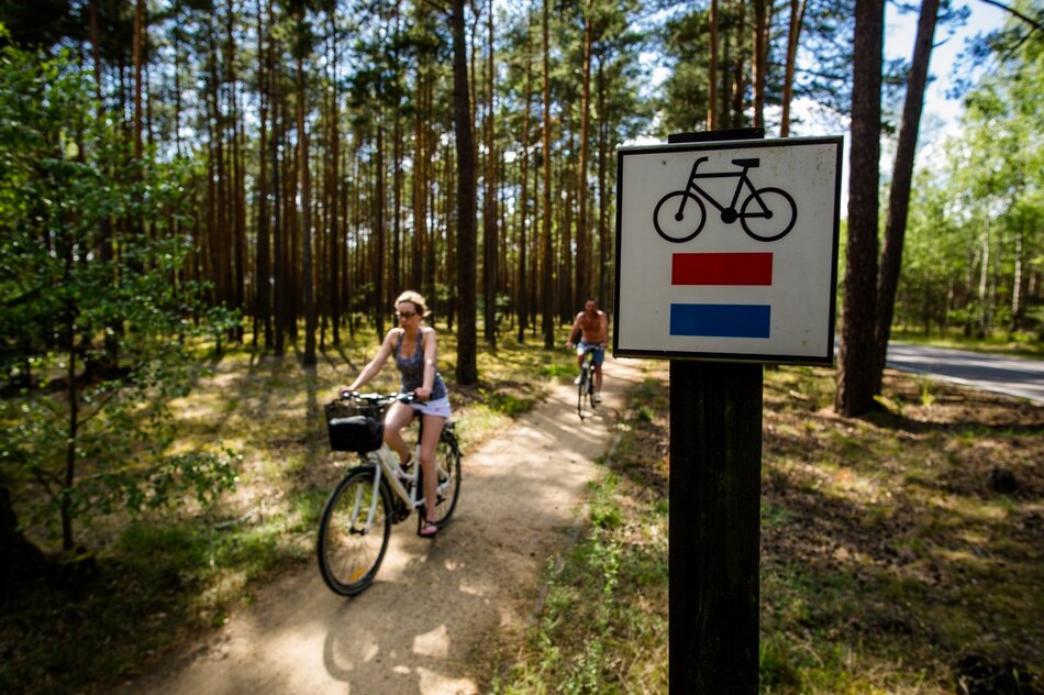 Zdjęcie przedstawia dwoje rowerzystów jadących leśną ścieżką, obok której znajduje się znak wskazujący trasę rowerową oznaczoną czerwonym i niebieskim kolorem. Tłem jest gęsty las sosnowy, przez który przebija się światło słoneczne, tworząc przyjemną, naturalną atmosferę.