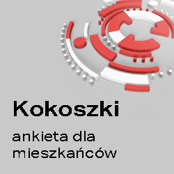 Baner promujący ankietę dla mieszkańców Kokoszek