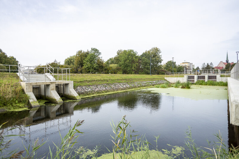 Na zdjęciu przedstawiono fragment kanału wodnego otoczonego zielenią, z widocznymi betonowymi konstrukcjami hydrotechnicznymi po obu stronach wody. W tle widać drzewa i zabudowania, co sugeruje, że zdjęcie wykonano w miejskim krajobrazie, prawdopodobnie w rejonie Opływu Motławy.