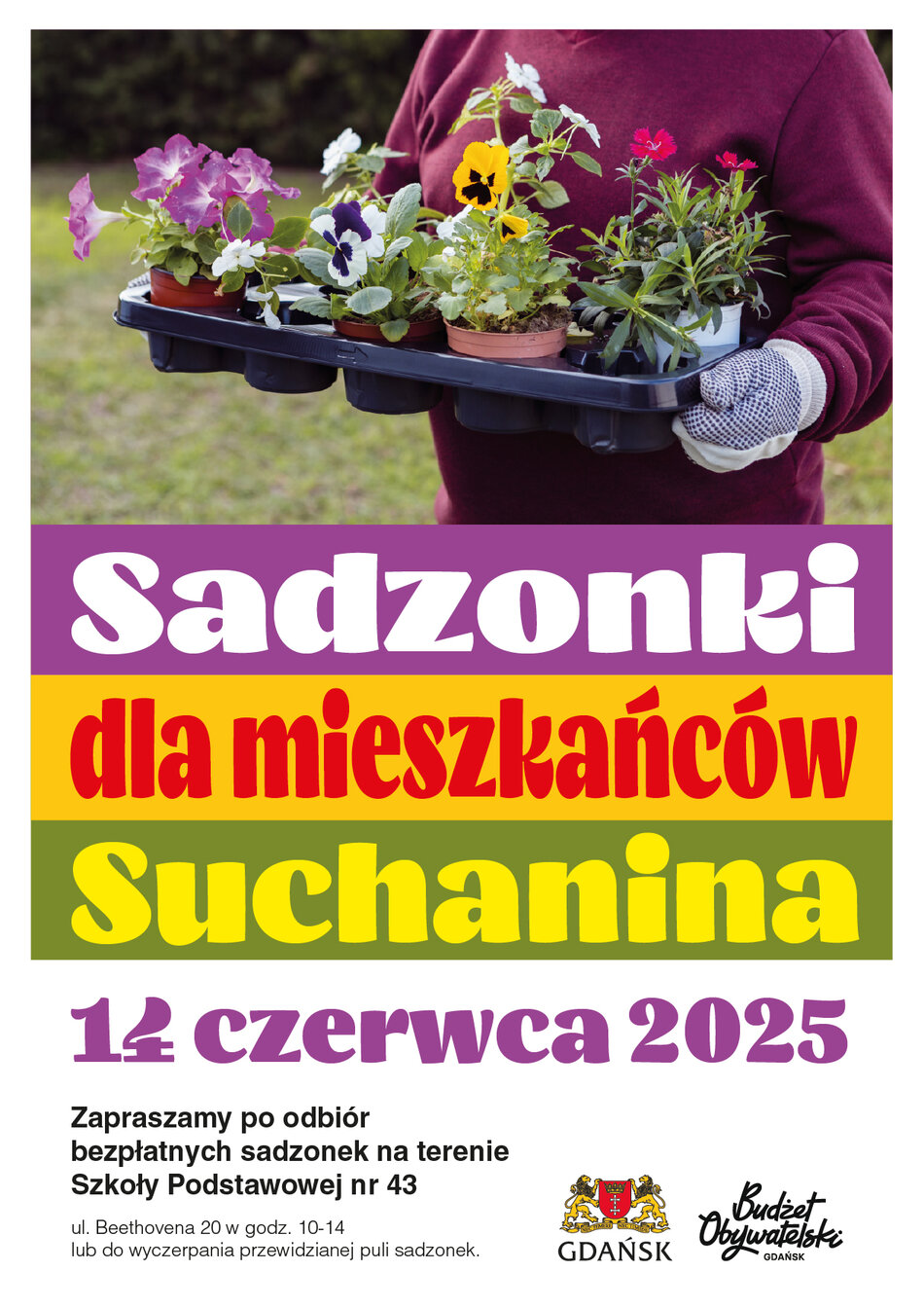 SADZONKI