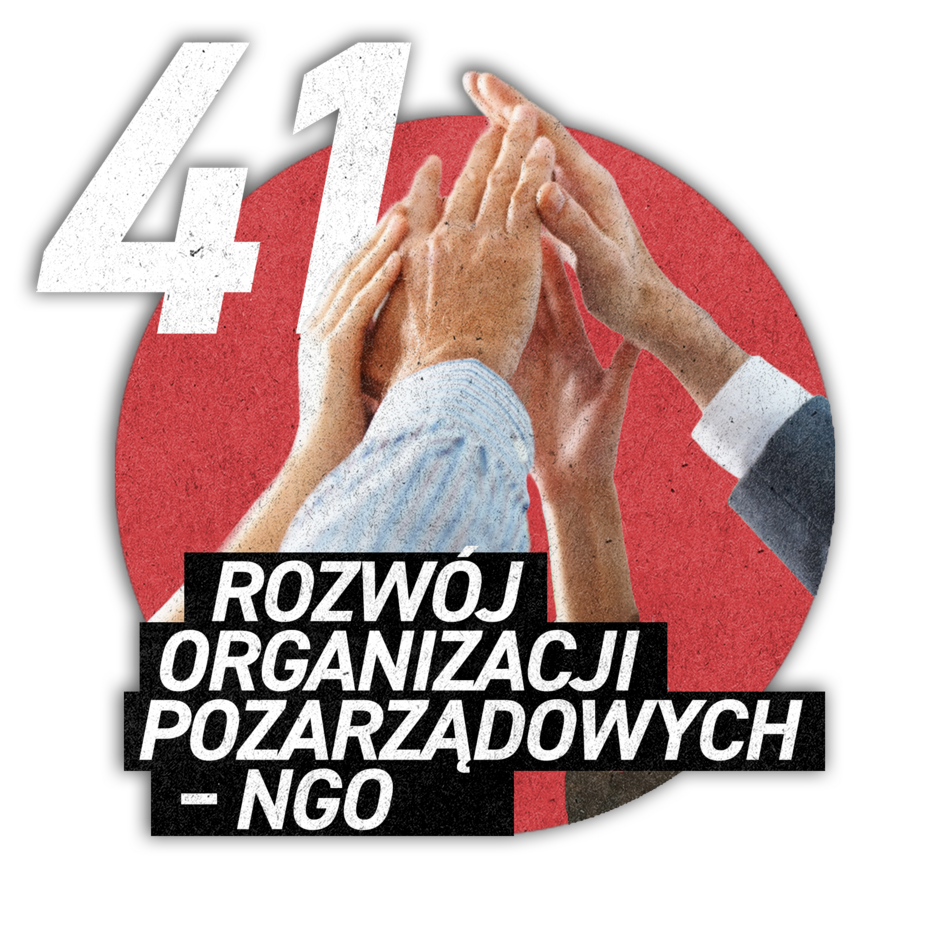 ROZWÓJ ORGANIZACJI POZARZĄDOWYCH - NGO