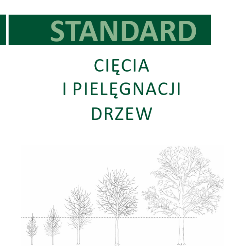 Standard cięcia i pielęgnacji drzew