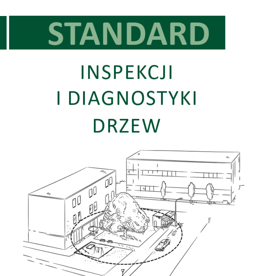 Standard inspekcji i diagnostyki drzew