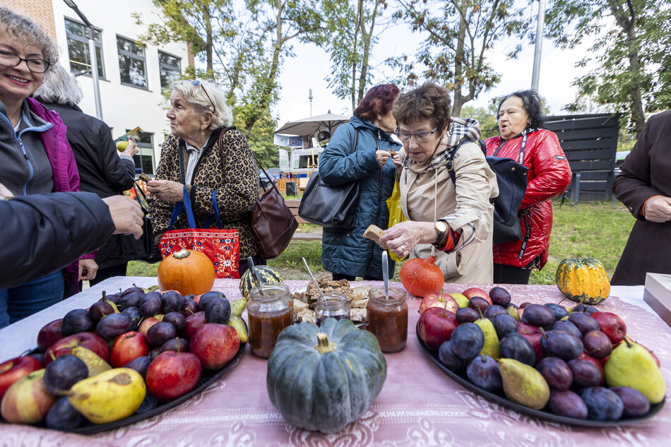  grupa ludzi zebranych wokół stołu pokrytego różowym obrusem. Na stole znajdują się dwie duże tacki śliwek, jabłek i dyń. Jest też kilka małych słoików dżemu i mała dynia. Ludzie patrzą na owoce i wydają się być zaangażowani w rozmowę. Niektórzy z nich noszą kurtki i noszą torby, sugerując, że są na rynku zewnętrznym lub straganie rynkowym. W tle widzimy drzewa i budynki, wskazujące, że zdjęcie zostało zrobione w parku lub na zewnątrz.