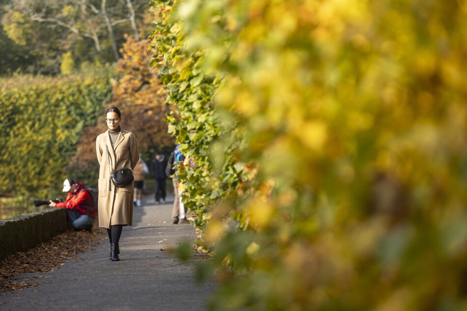 gcm-download-2500-20251022-jesien-park-oliwski-015.876cb7f3