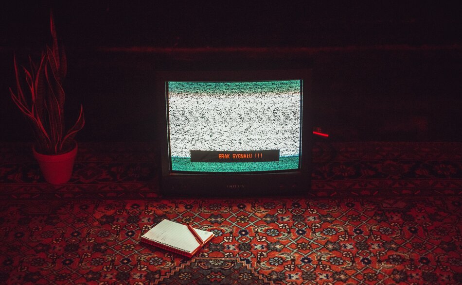 Octopus Film Festival