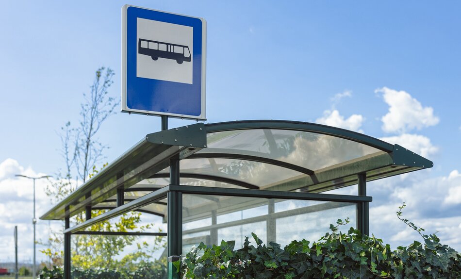 Zielony bluszczowy przystanek