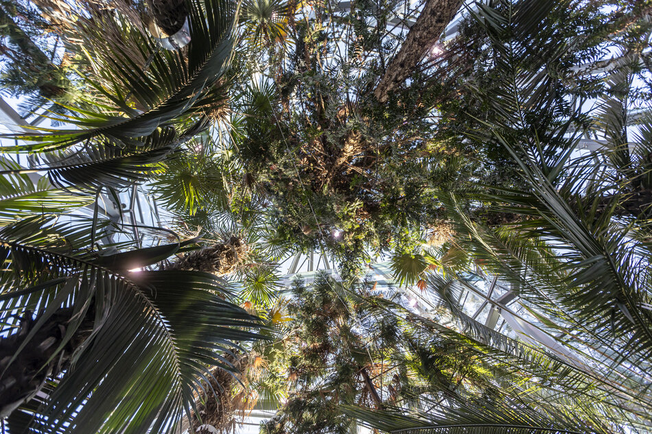 gcm-download-2500-20250120-palmiarnia_burghardt_madanecki-037.54499ffd