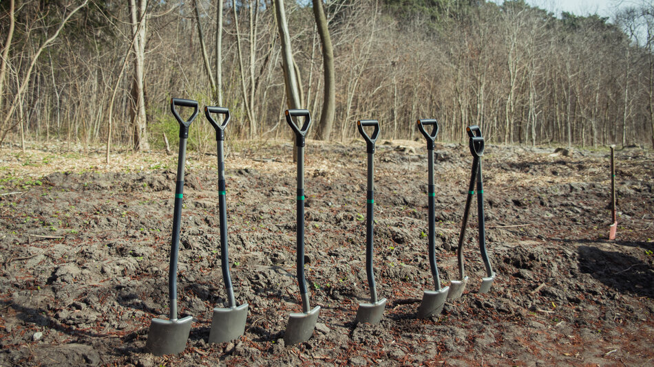 gcm-download-2500-sadzenie_las-001.954101ba