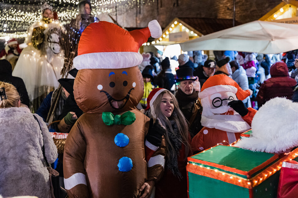 gcm-download-2500-20231125-jarmark-bozo-57.8d882c0d