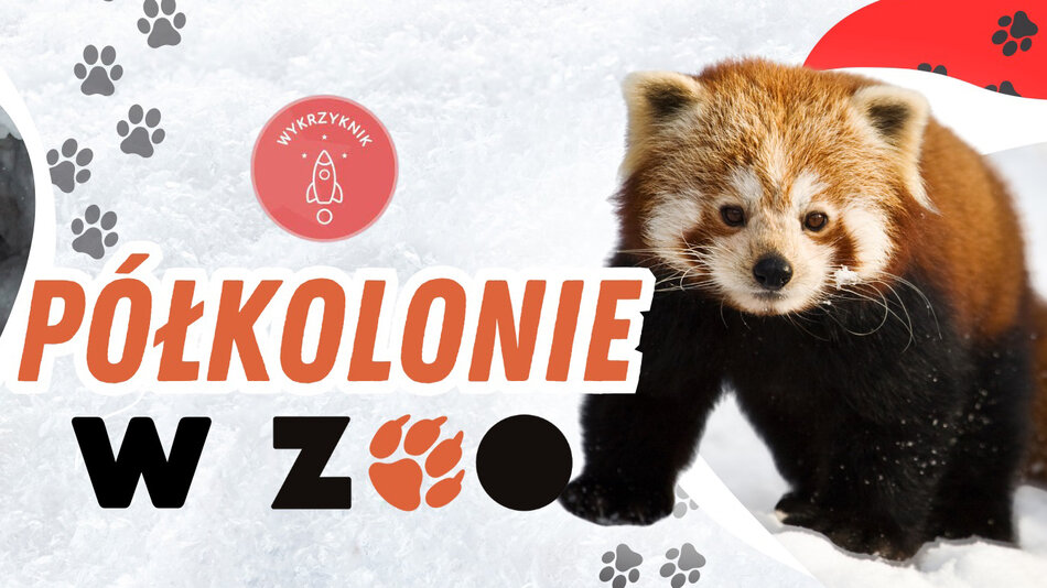 Polkolonie-ZOO-Zdjecie-w-tle-na-Facebooka9_okladka