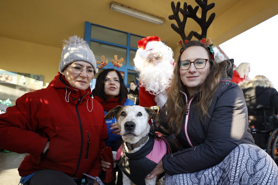  grupa czterech osób, dwie kobiety i dwóch mężczyzn, pozujących do zdjęcia z psem; kobieta po lewej stronie nosi czerwoną kurtkę i szary płaszcz, kobieta w środku trzyma psa w ramionach, a pozostałe dwie mają na głowie odchody reniferów; w środkowej części znajduje się mężczyzna ubrany w Świętego Mikołaja; stoi przed żółtym budynkiem z niebieskimi oknami i wydaje się być na imprezie plenerowej.