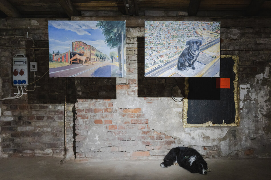 gcm-download-2500-20241026-stelmasiewicz-benefis-2.fb127921