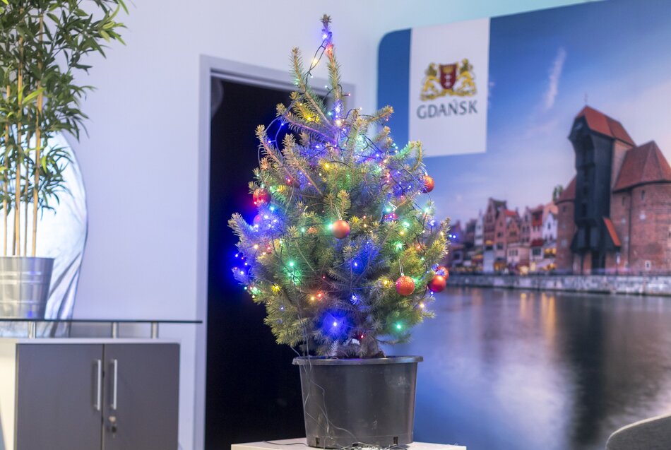Niewielka choinka w donicy została udekorowana kolorowymi lampkami i kilkoma bombkami, tworząc świąteczny akcent we wnętrzu. W tle widoczna jest grafika z panoramą Gdańska oraz elementy biurowego wyposażenia. 