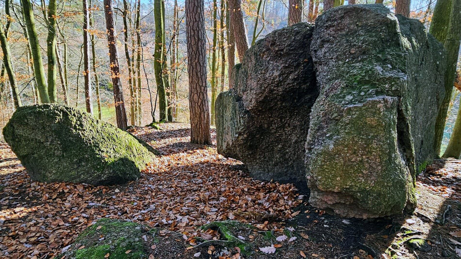 Głaz narzutowy zwany Diabelski Kamień podzielony na dwie części.