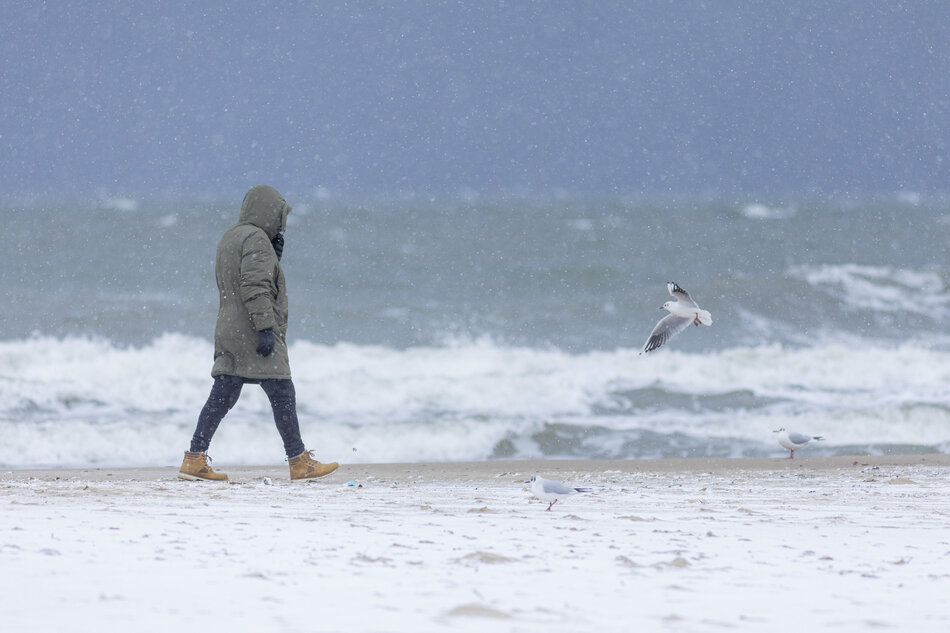 osoba chodząca po plaży pokrytej śniegiem; osoba ta nosi zieloną kurtkę, ciemne spodnie i brązowe buty; idzie wzdłuż morza, które jest widoczne w tle z falami rozbijającymi się o brzeg