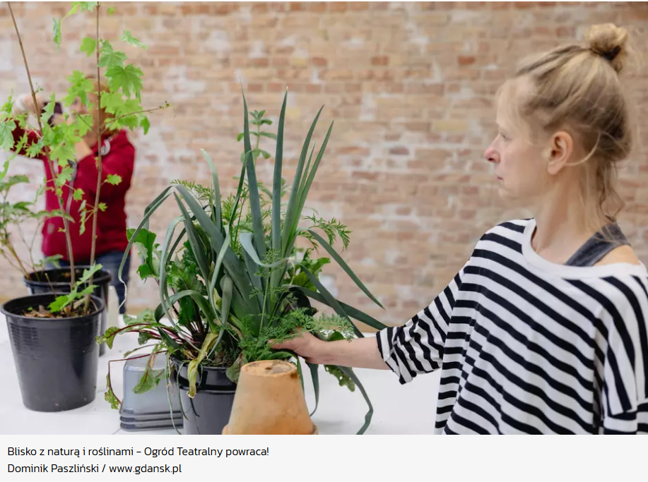 Plakat informacyjny Szpitali Pomorskich promujący bezpłatne szczepienia przeciw krztuścowi dla osób 65+ z przewlekłymi chorobami układu oddechowego. Zawiera listę powikłań i korzyści z profilaktyki.