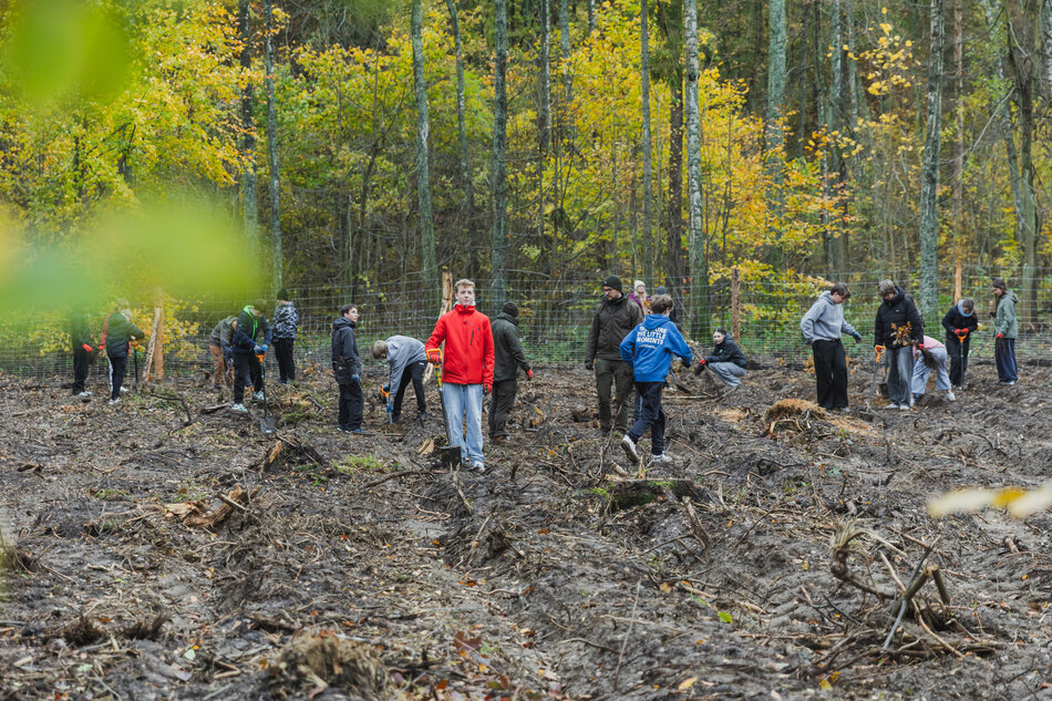 gcm-download-1920-20251029-sadzenie-drzew-18.7eb4775a