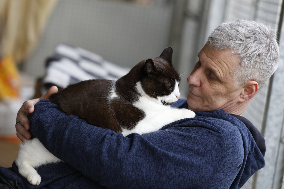 Mężczyzna trzymający kota