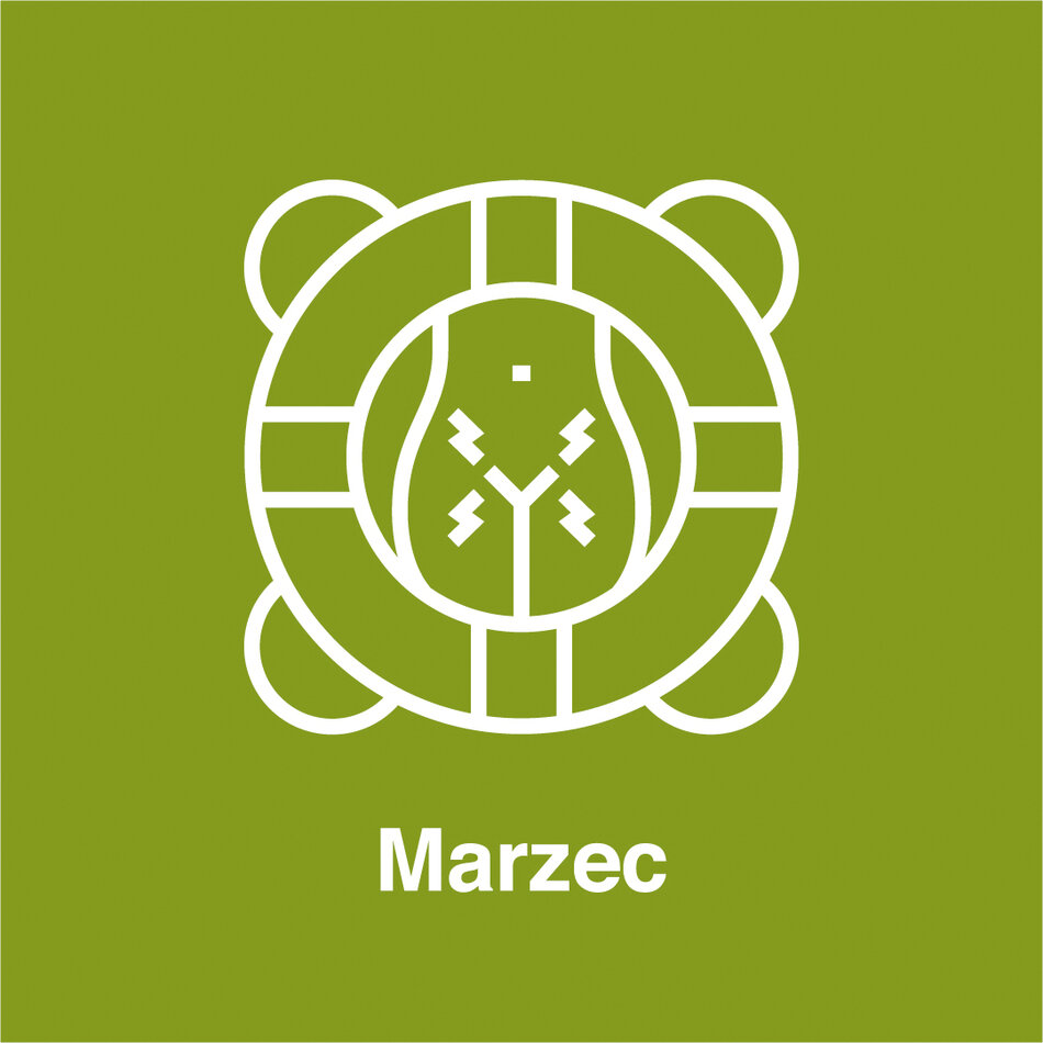 03 Marzec – Endometrioza 1080x1080px 2-01