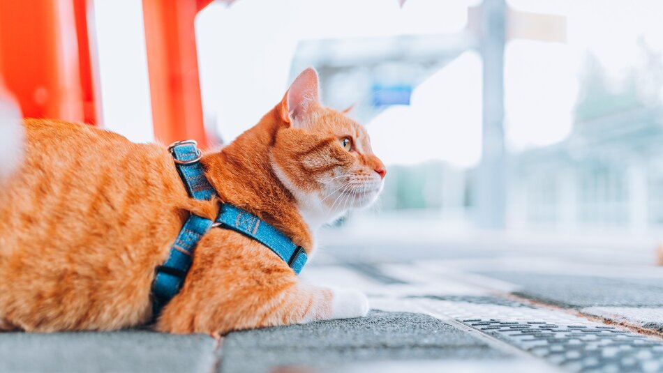 486748239_1057524879742604_8352927909165731788_n