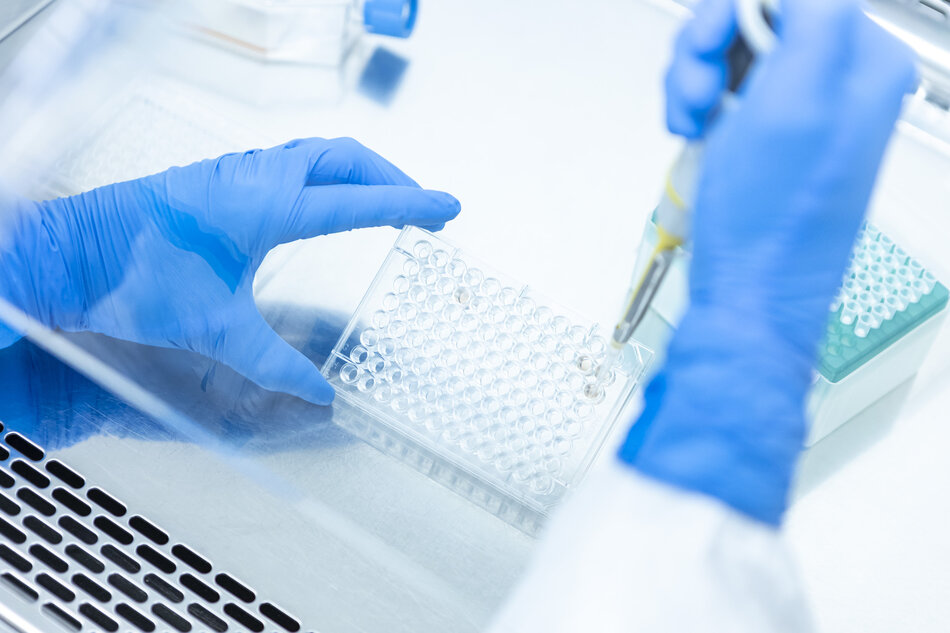 ręce osoby noszącej niebieskie rękawice pracujące w laboratorium; osoba trzyma pipetę z żółtym płynem w niej i używa jej do badania niewielkiej ilości płynu