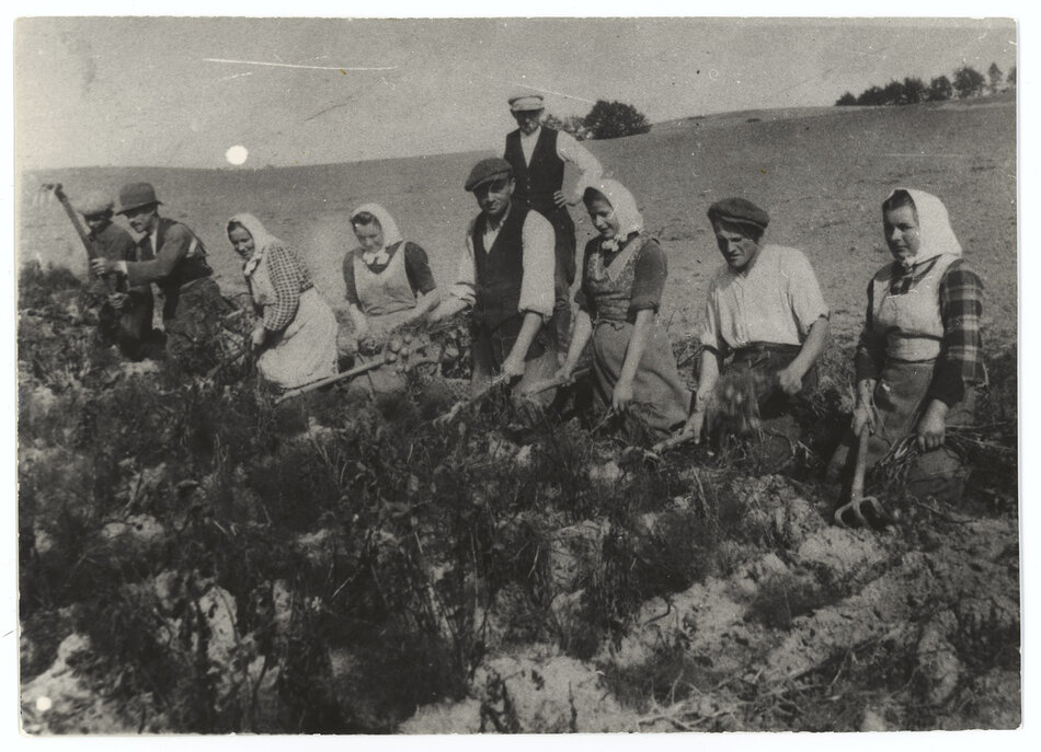 F_1560_VI_1_1_miniatura (1)