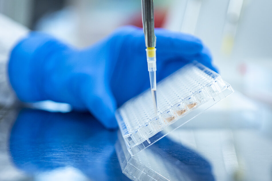 Na zdjęciu widać dłoń w niebieskiej rękawiczce laboratoryjnej, która za pomocą precyzyjnej mikropipety nanosi ciecz do małego otworu w przezroczystej płytce wielodołkowej. Całość przedstawia profesjonalne środowisko badawcze, typowe dla prac z zakresu biologii molekularnej, chemii lub diagnostyki medycznej.