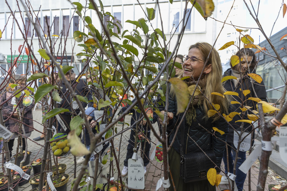 Na pierwszym planie sadzonki drzewek, zza nich widać śmiejąca się kobietę.